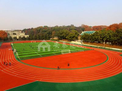 武汉大学